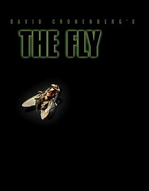 A fly on a black background.