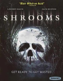 Skull in the forest.