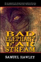 Close-up of an elephant's eye