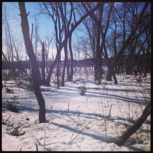 Walking in just one of the many lovely snow-covered parks in Boston.