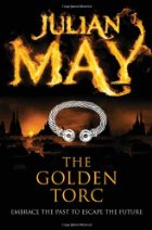 Image of a silver torc against a gold and black background