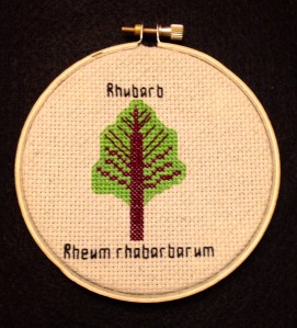 Cross-stitch of a rhubarb leaf. The word "rhubarb" is above it while the words "rheum rhabarbarum" are below it.
