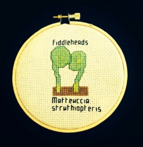 Cross-stitch of a pair of fiddleheads. Fiddleheads is stitched above, matteucia struthiopteris is below.