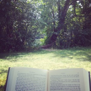 My view reading next to the Charles River (including my book, of course!)