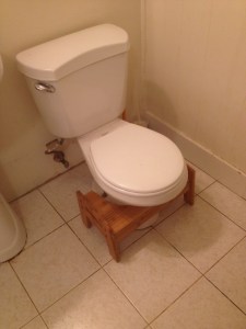 Product Review: Squatty Potty