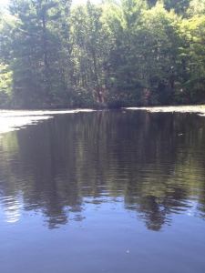 A lovely pond my fiancé and I rested near on one of our hikes.