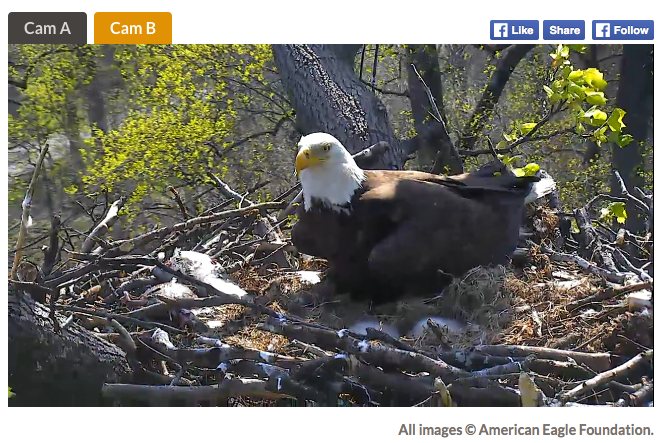 Wolfy's Favorites -- Episode 2